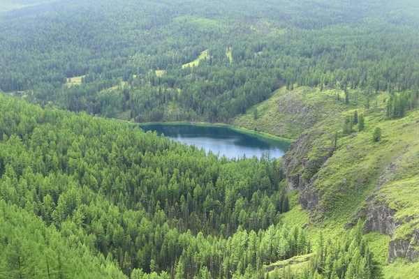 俄罗斯阿尔泰泰加湖 — 图库照片