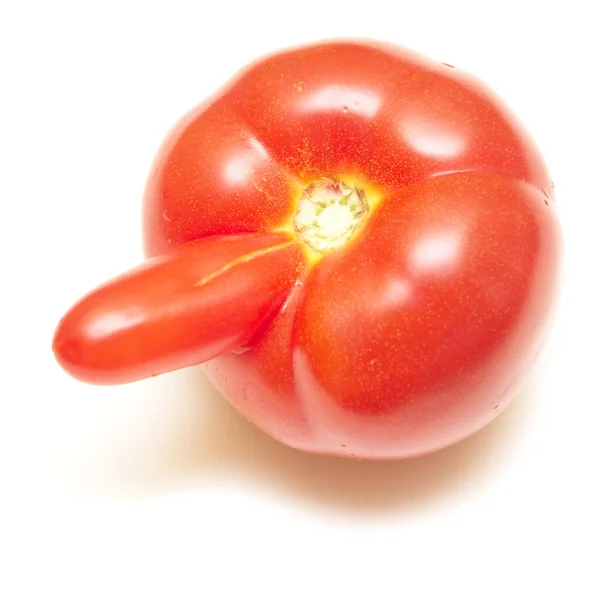 Tomate Maduro Isolado Sobre Fundo Branco — Fotografia de Stock