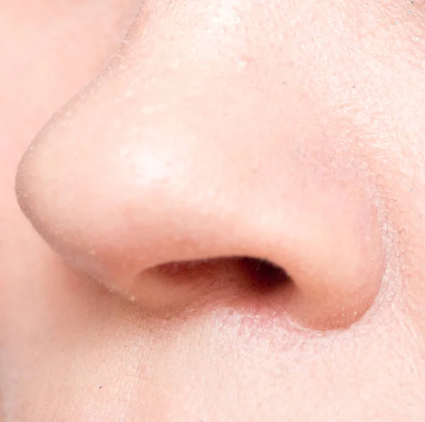 Close Shot Nose — Stock Photo, Image