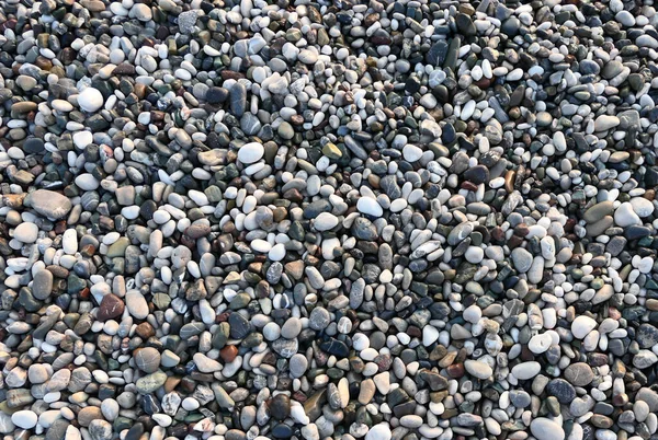 Grey Pebble Background — Stock Photo, Image