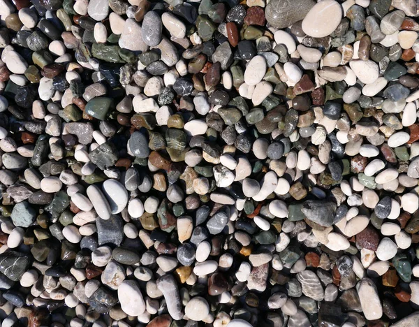 Color Pebble Background — Stock Photo, Image