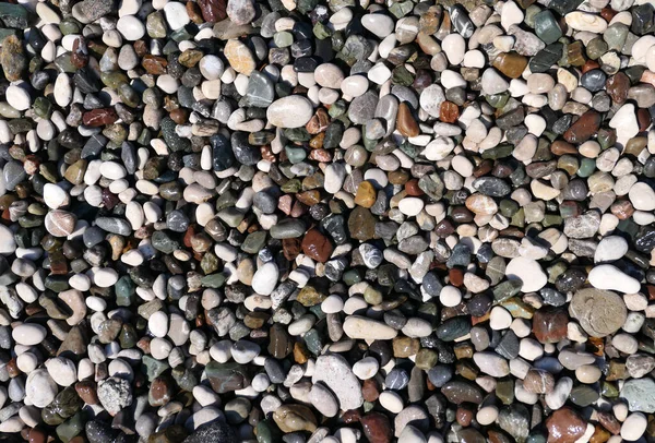 Color Pebble Background — Stock Photo, Image