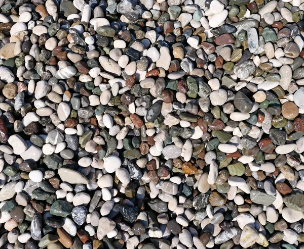 Color Pebble Background — Stock Photo, Image