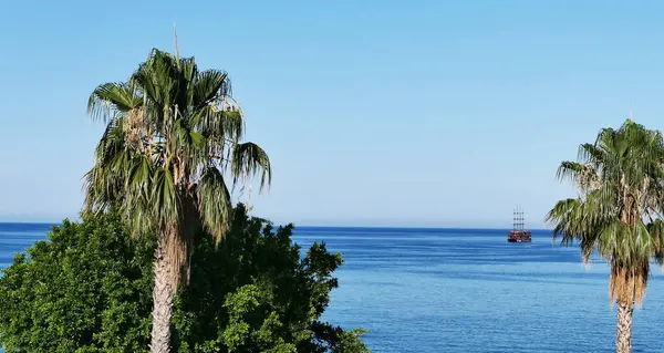 Piratskepp Palm Och Blått Hav Vacker Havsutsikt — Stockfoto