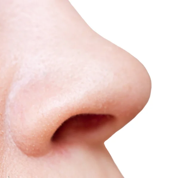 Nos Izolowany Białym Tle — Zdjęcie stockowe