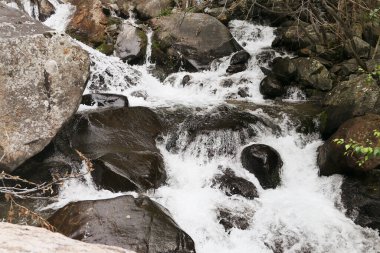 Yüksek dağ nehri, hızlı dere