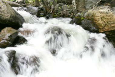 Yavaş kepenkleri olan güzel dağ nehri
