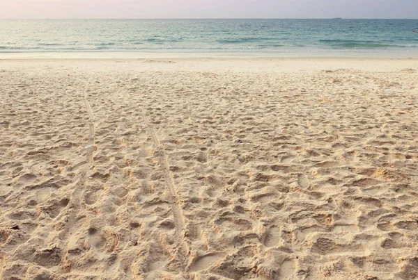 美しい熱帯砂のビーチ — ストック写真