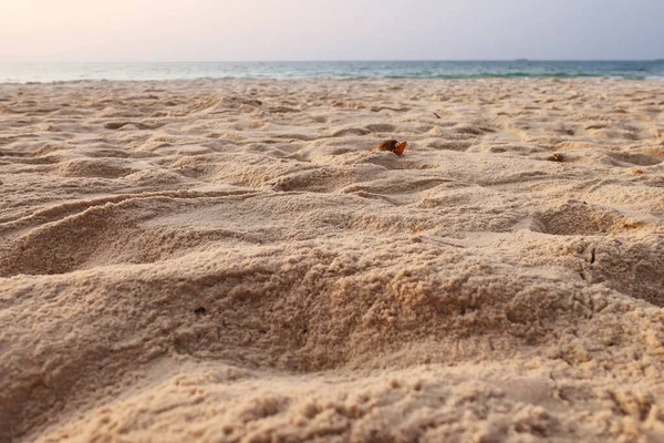 Krásná Tropická Písečná Pláž — Stock fotografie