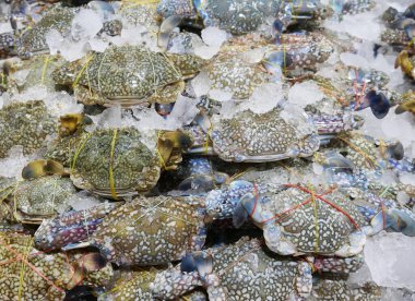 Pazarda taze yengeçler.