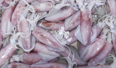 Pazarda taze mürekkep balıkları.