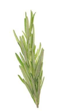 Beyaz arkaplanda biberiye izole edildi