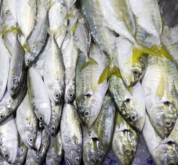 Pescado Fresco Mercado —  Fotos de Stock