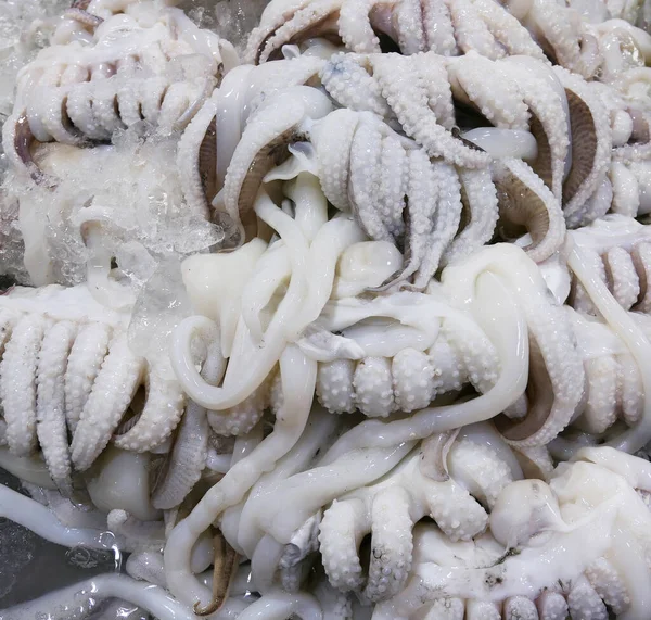 市场上新鲜的章鱼 — 图库照片