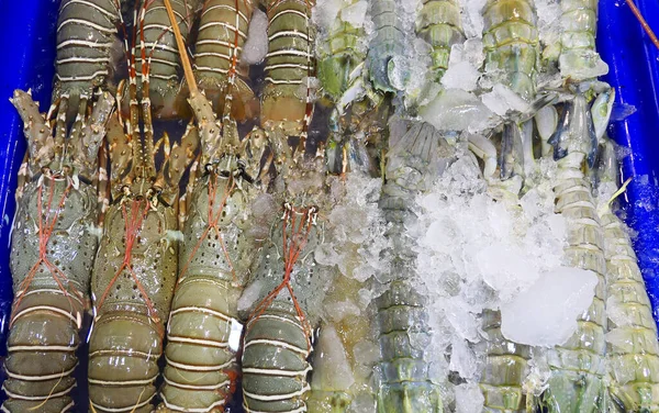 Fresh Lobsters Market — Stock Photo, Image