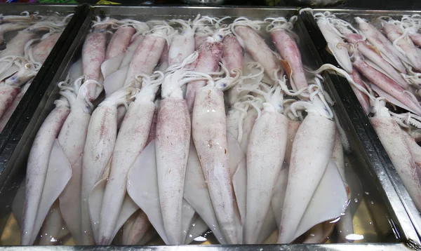 Calamares Frescos Mercado —  Fotos de Stock