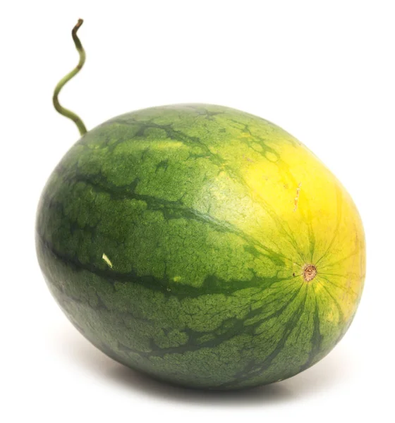 Whole Watermelon Isolated White Background — Stock Photo, Image