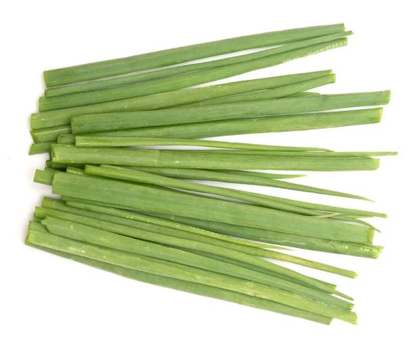 Cebolla Verde Aislada Sobre Fondo Blanco — Foto de Stock