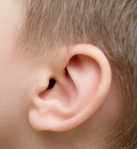 子供の耳のショットを閉じる — ストック写真