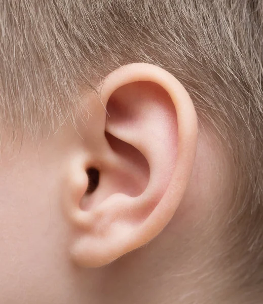 Close Shot Child Ear — Stock Photo, Image