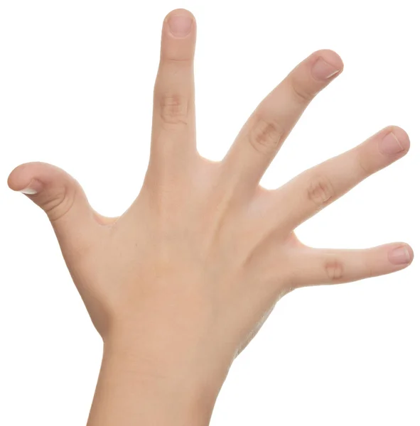 Ręka Dziecka Odizolowana Białym Tle — Zdjęcie stockowe