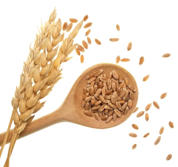 Wheat Isolated White Background — Stock Photo, Image