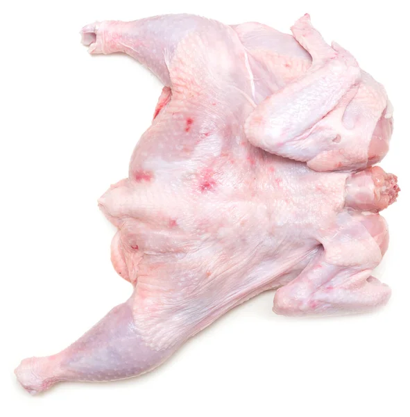 Ungekochtes Huhn Auf Weißem Hintergrund — Stockfoto