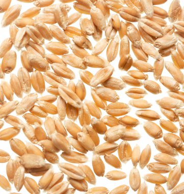 Arkaplan olarak buğday tanesi