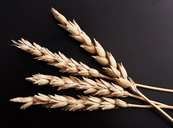 Pšenice Černém Pozadí — Stock fotografie