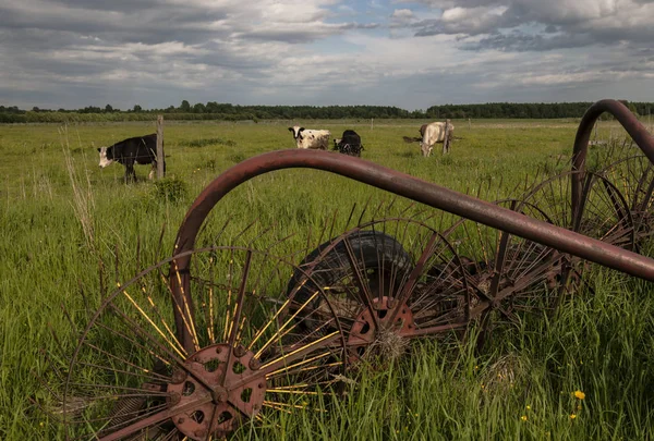 Tedder Traktörler Için Ekler Haymaking Için Kullanılır Nizimovo Köyü Grupta - Stok İmaj