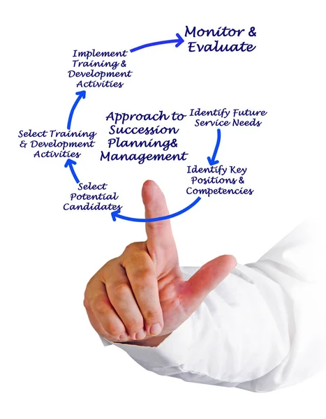 Strategi För Successionsplanering Management — Stockfoto