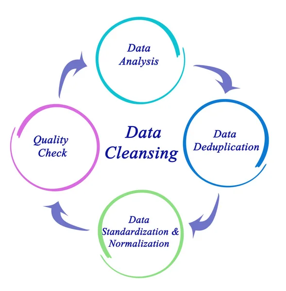 Komponenten Des Datenbereinigungsprozesses — Stockfoto