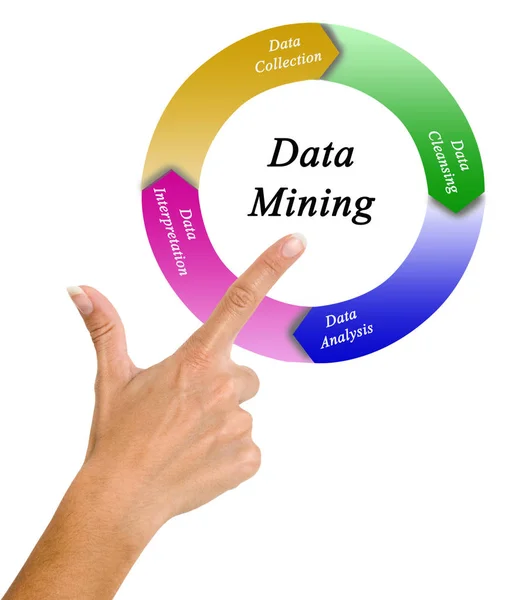 Komponenten Des Data Mining Prozesses — Stockfoto