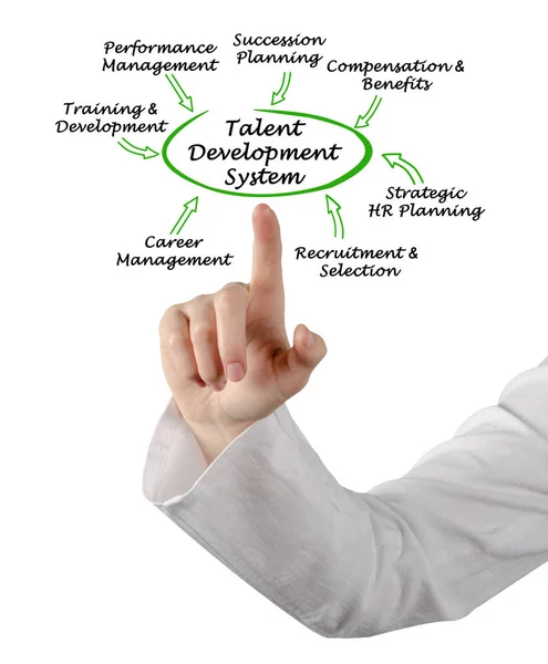 Onderdelen Van Talent Development System — Stockfoto