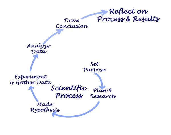 Steps in Scientific Process
