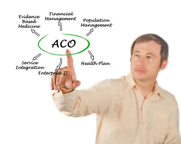 Presenting Accountable Care Organizations — Stock Photo, Image