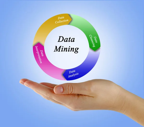 Components of Data Mining process