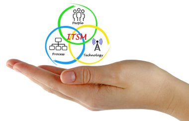 ITSM bileşenleri sunan kadın