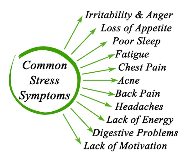Elf Gemeenschappelijke Stress Symptomen — Stockfoto