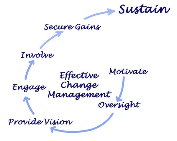 Diagram of Effective Change Management — Stock Photo, Image