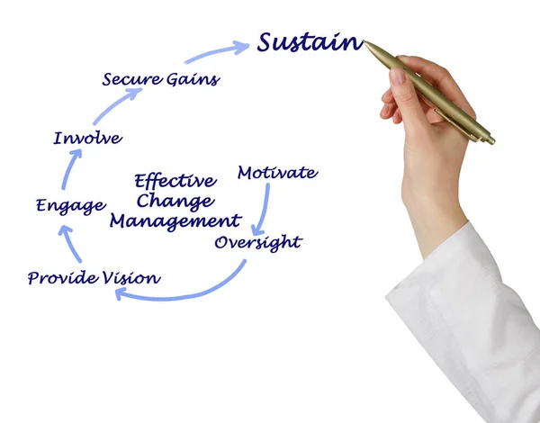 Diagramm eines effektiven Change Managements — Stockfoto