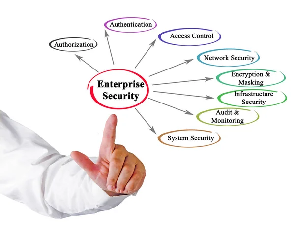 Man Die Presenteert Enterprise Security Aspecten — Stockfoto