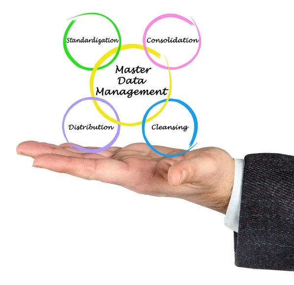 Man Presenterar Master Data Management — Stockfoto