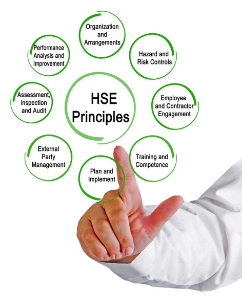 Presenting Eight Hse Principles — Stock Photo, Image