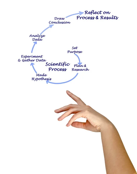 Steps in Scientific Process