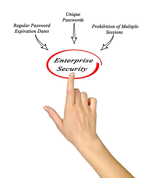 Onderdelen Van Enterprise Security — Stockfoto