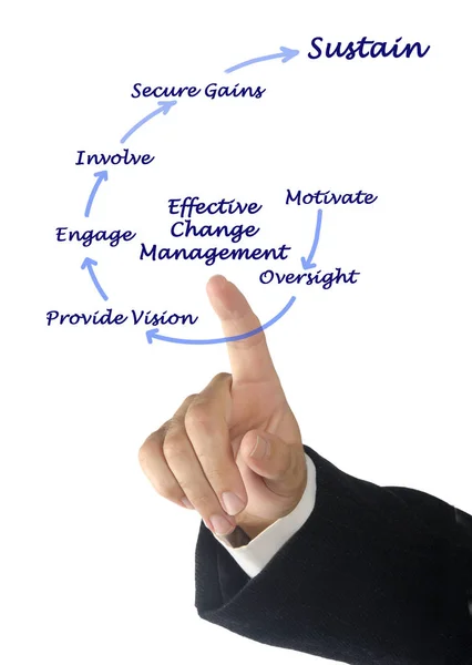 Presenting Effective Change Management — Stock Photo, Image