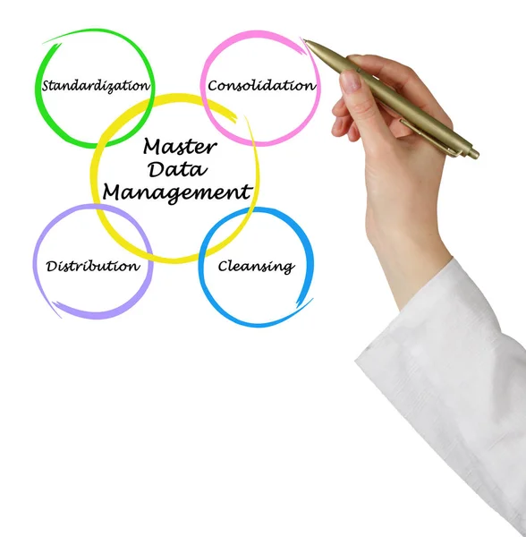 Presenting Master Data Management — Stock Photo, Image