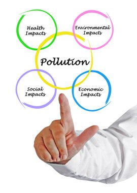 Performans yönetimi diyagramı