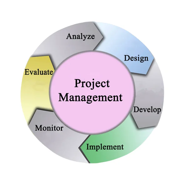 Komponenten Des Projektmanagementprozesses — Stockfoto